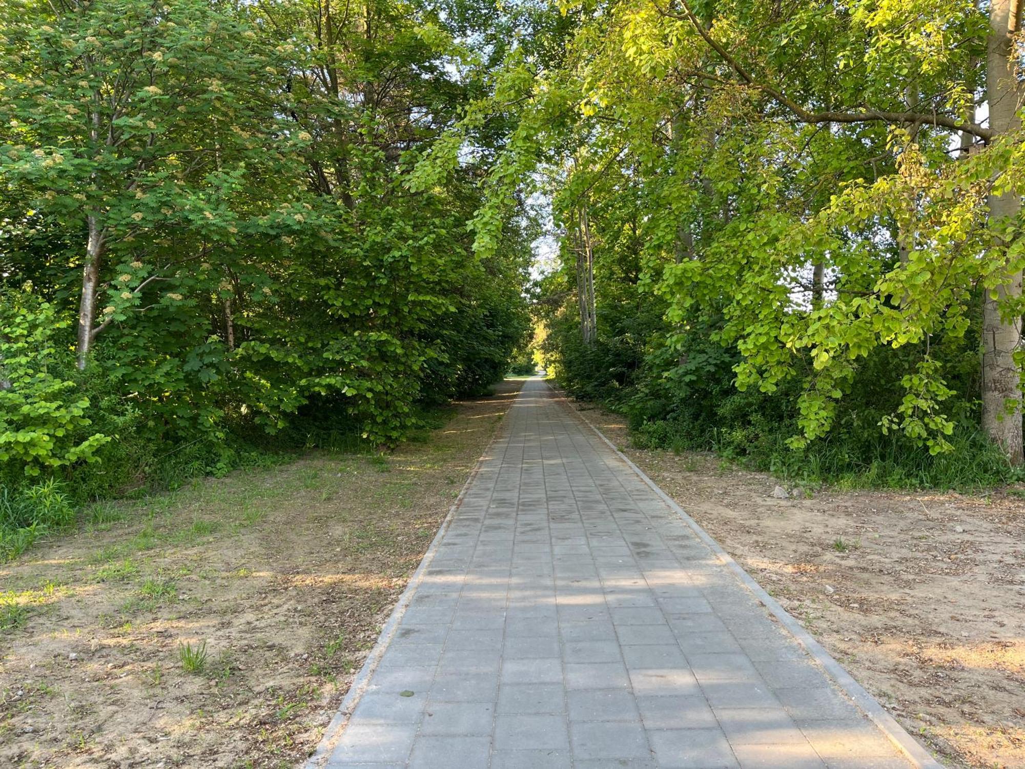 Appartamento Apartament Osowa Danzica Esterno foto